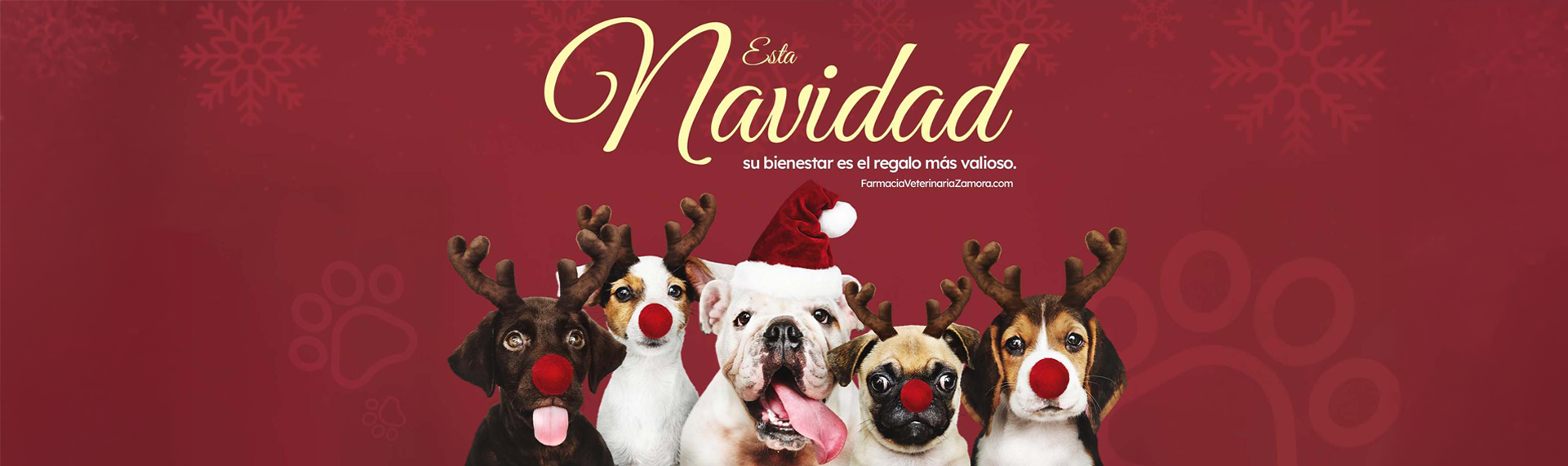 ENVIOS A TODO EL PAIS