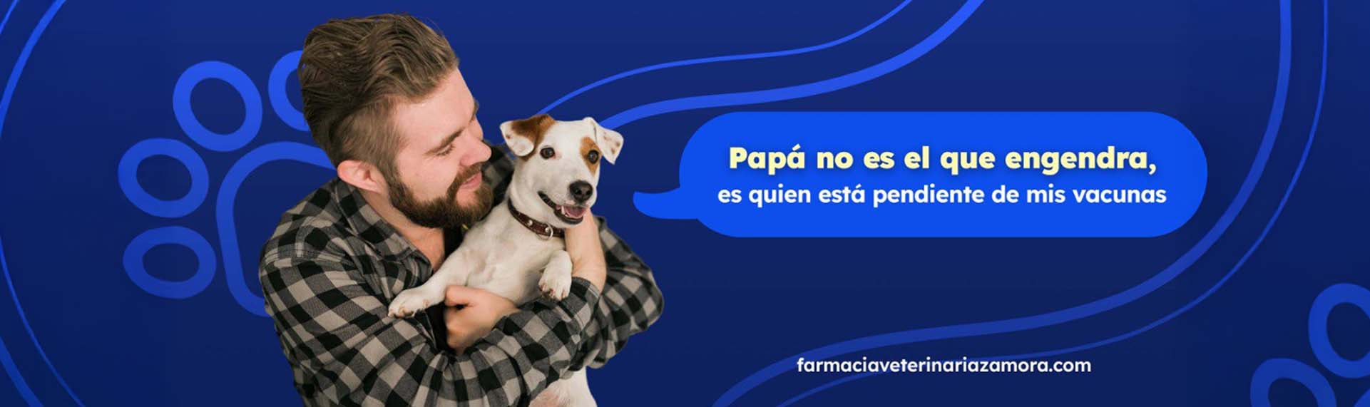 ENVIOS A TODO EL PAIS