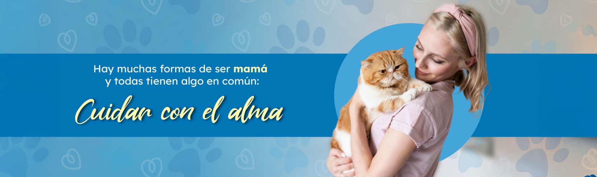 ENVIOS A TODO EL PAIS