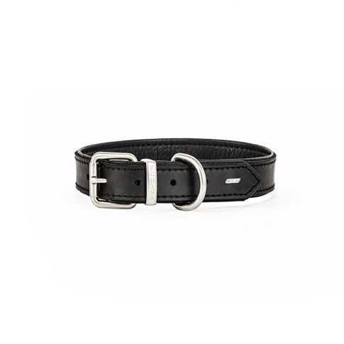 Oxford Leather Collar