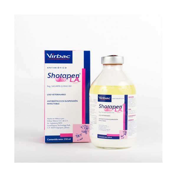 Shotapen L.A. Iny. 100 ml.