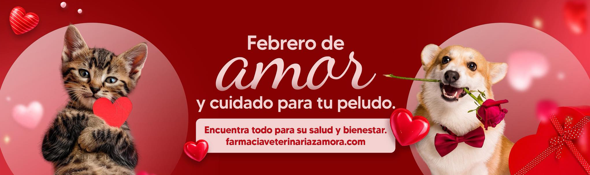 ENVIOS A TODO EL PAIS