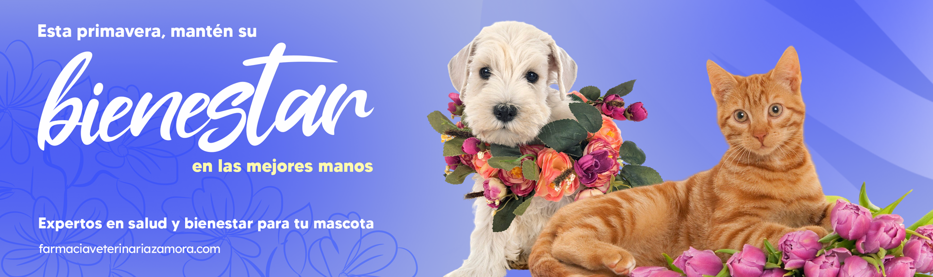 ENVIOS A TODO EL PAIS