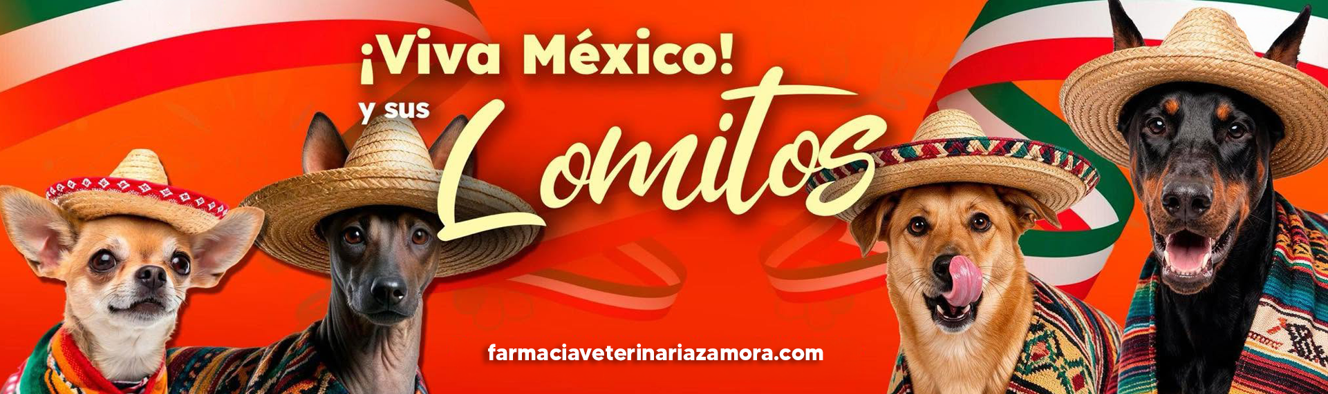 ENVIOS A TODO EL PAIS
