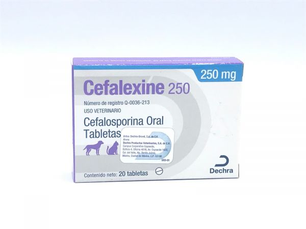 Cefalexine 250 mg 20 tabs.