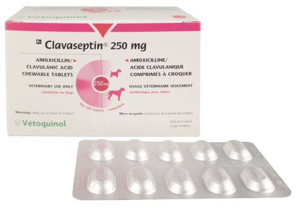 Clavaseptin 250 mg 100 tabs.
