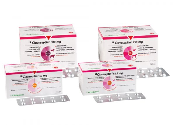 Clavaseptin 250 mg Blister con 10 tabs.