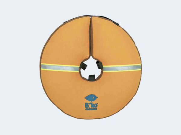 Dona Isabelina Talla 00