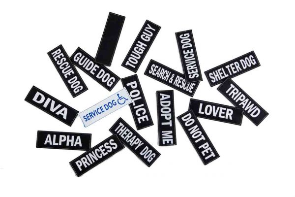 Convert Side Badges Police L