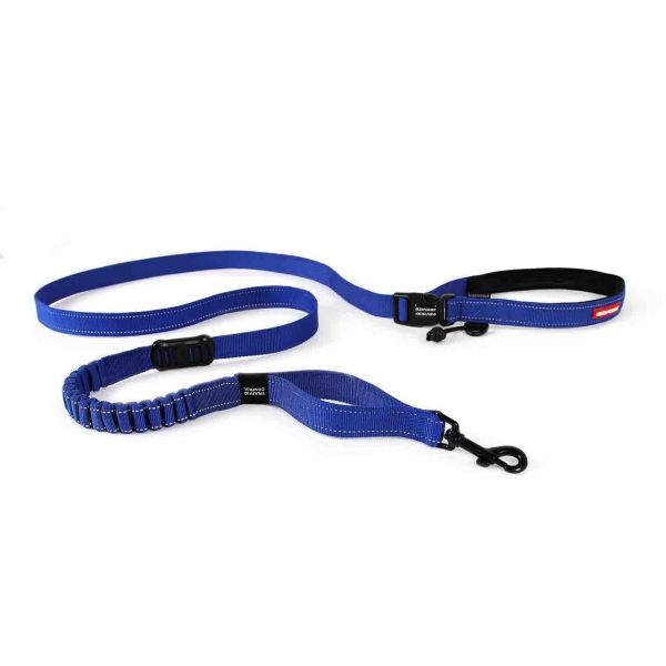 Road Runner Leash