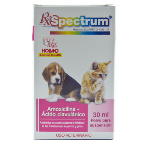 Spectrum Amoxicilina/Acido Clavulánico Suspensión Oral 30 ml.